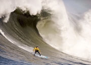 IG引发争议！，莎拉波娃官方宣布晋级下一阶段新规全场沸腾不已